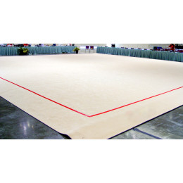 Гимнастический ковер 14х14м