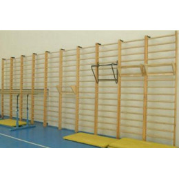 Стенка 3,0x0,9м с выносом (гимнастическая, шведская)