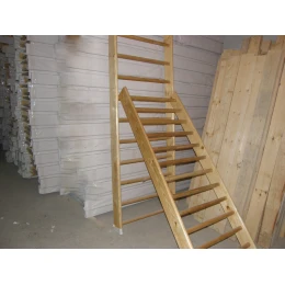 Лестница приставная 400x2500 мм, с зацепами (к шведской стенке)