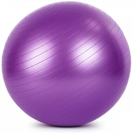 Мяч гимнастический GB-101 65 см, антивзрыв, фиолетовый